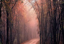 武汉养生之旅特色满满，东湖绿道、黄鹤楼公园等好去处等你来